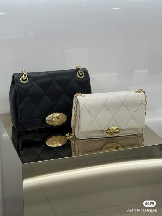 Picture of Burberry Handbags _SKUfw213821734fw